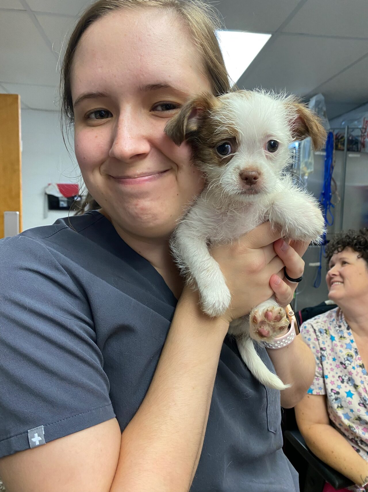 About Blount Veterinary Clinic Vet In Maryville, TN 37804